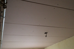 IMG-20150602-WA0004
